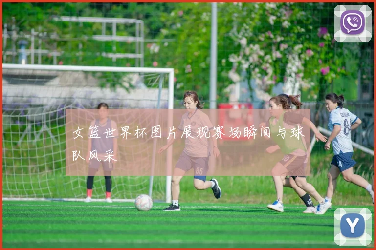女篮世界杯图片展现赛场瞬间与球队风采