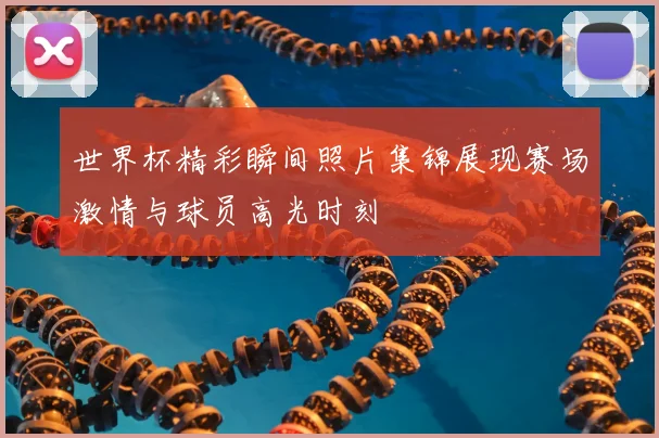 世界杯精彩瞬间照片集锦展现赛场激情与球员高光时刻