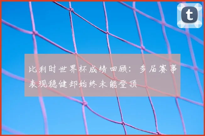 比利时世界杯成绩回顾:多届赛事表现稳健却始终未能登顶