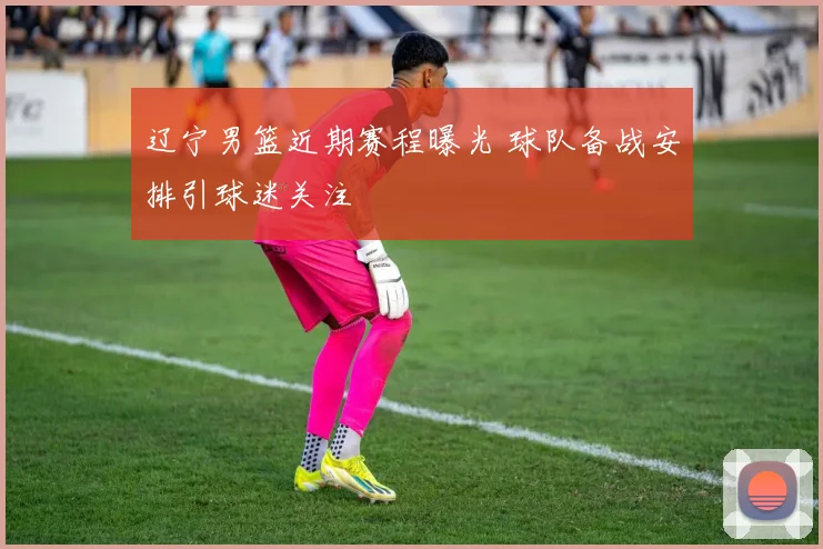 辽宁男篮近期赛程曝光 球队备战安排引球迷关注