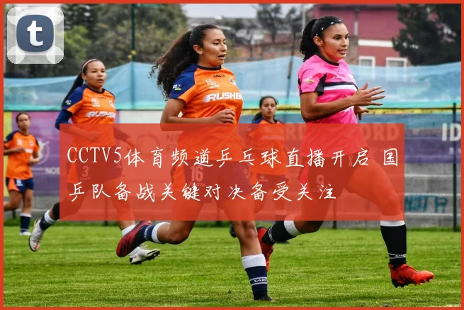 CCTV5体育频道乒乓球直播开启 国乒队备战关键对决备受关注