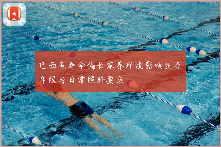 巴西龟寿命偏长家养环境影响生存年限与日常照料要点
