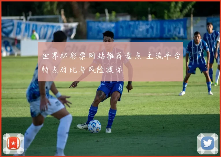 世界杯彩票网站推荐盘点 主流平台特点对比与风险提示