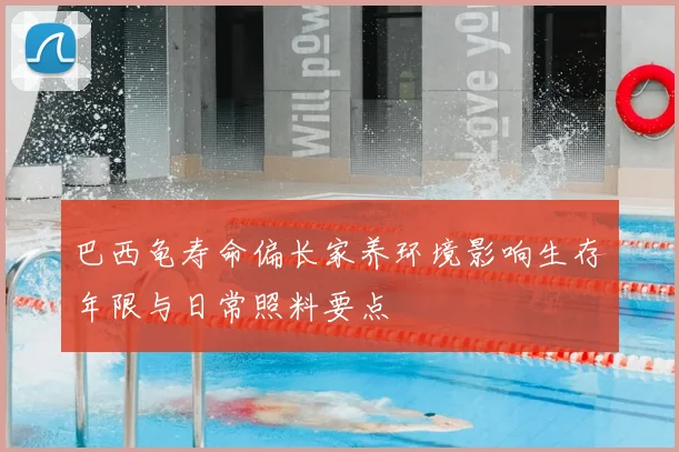 巴西龟寿命偏长家养环境影响生存年限与日常照料要点