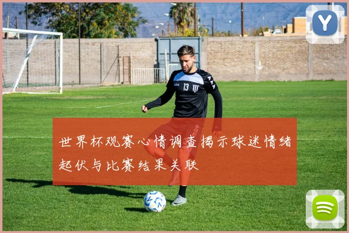世界杯观赛心情调查揭示球迷情绪起伏与比赛结果关联