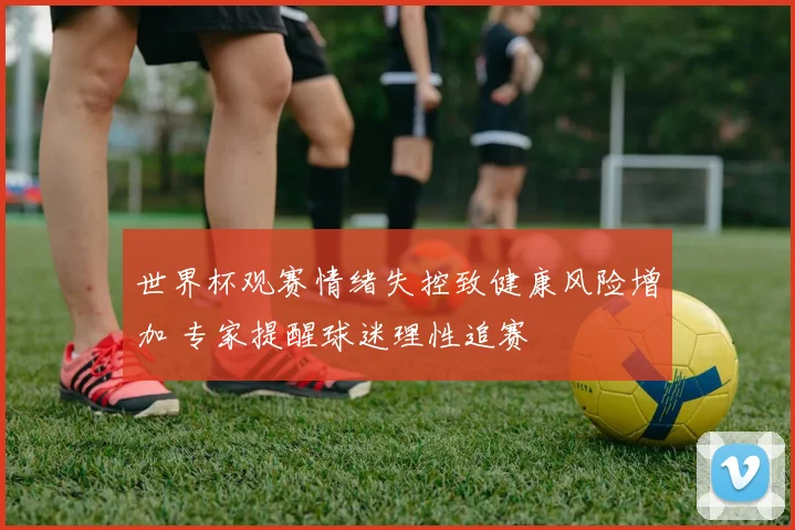 世界杯观赛情绪失控致健康风险增加 专家提醒球迷理性追赛