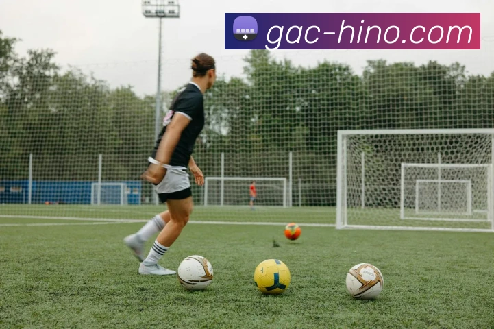 开云官方入口app发展历程